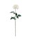 12-Pack: White Planters Rose Stem with Silk Foliage, Floral Home by Artificial Flowers